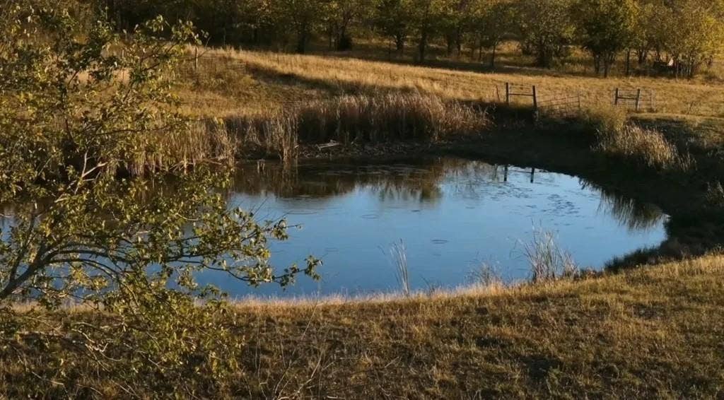 1179 E FM 813, Palmer, TX 75152