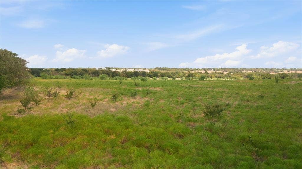 TBD N Louisiana Drive, Celina, TX 75009 Expansive undeveloped acreage with scattered trees and natural vegetation under a clear sky