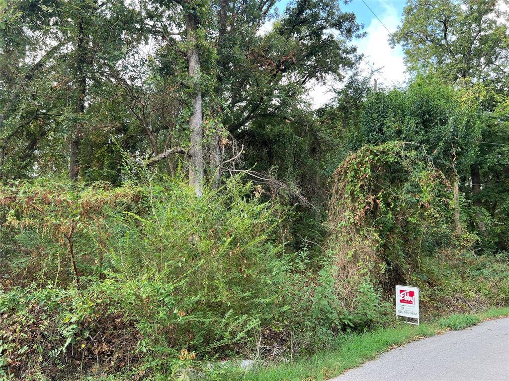Lot 80 Whispering Oaks, Payne Springs, TX 75156 Lot 80 Whispering Oaks, Payne Springs, TX 75156