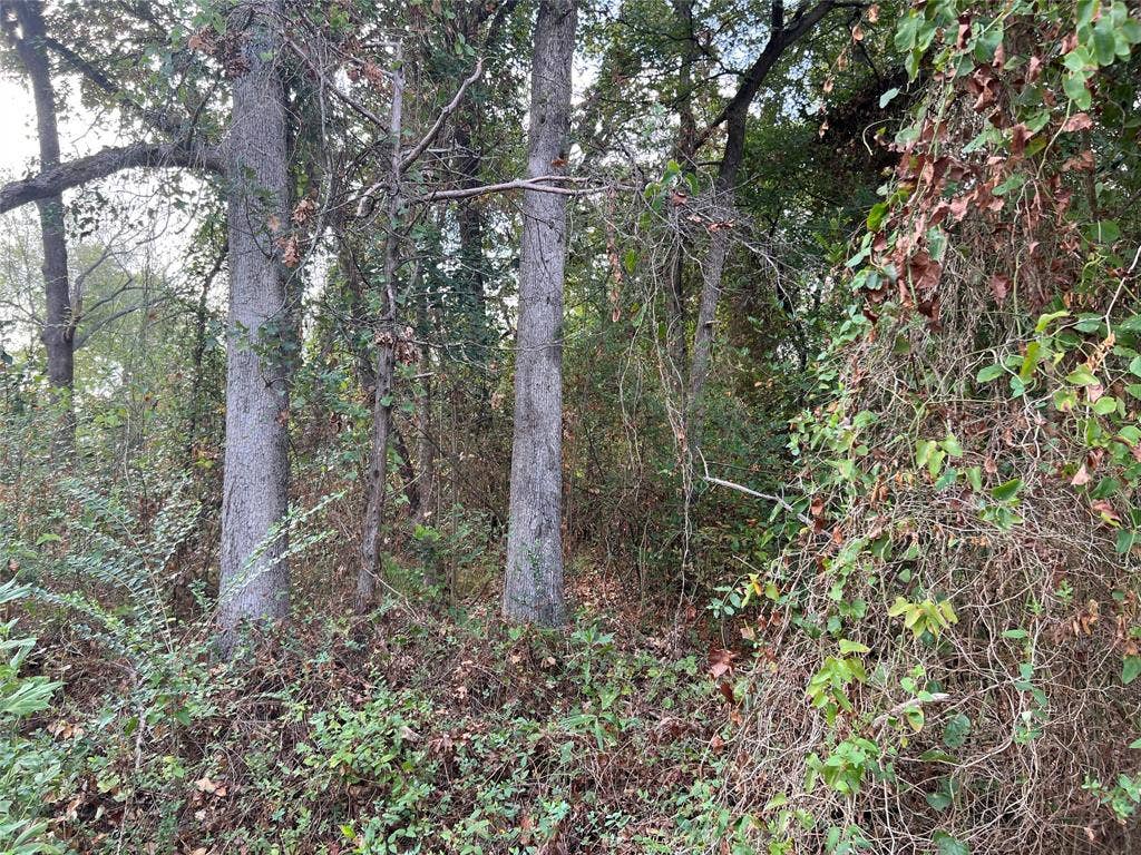 Lot 80 Whispering Oaks, Payne Springs, TX 75156 Lot 80 Whispering Oaks, Payne Springs, TX 75156