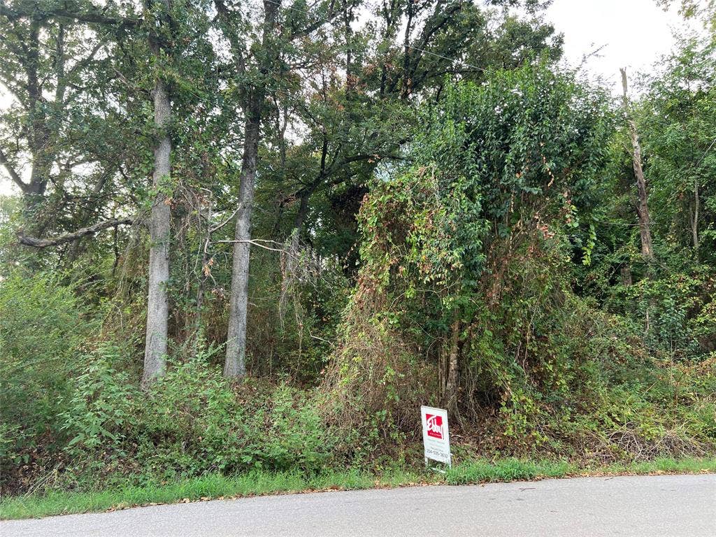 Lot 80 Whispering Oaks, Payne Springs, TX 75156 Lot 80 Whispering Oaks, Payne Springs, TX 75156