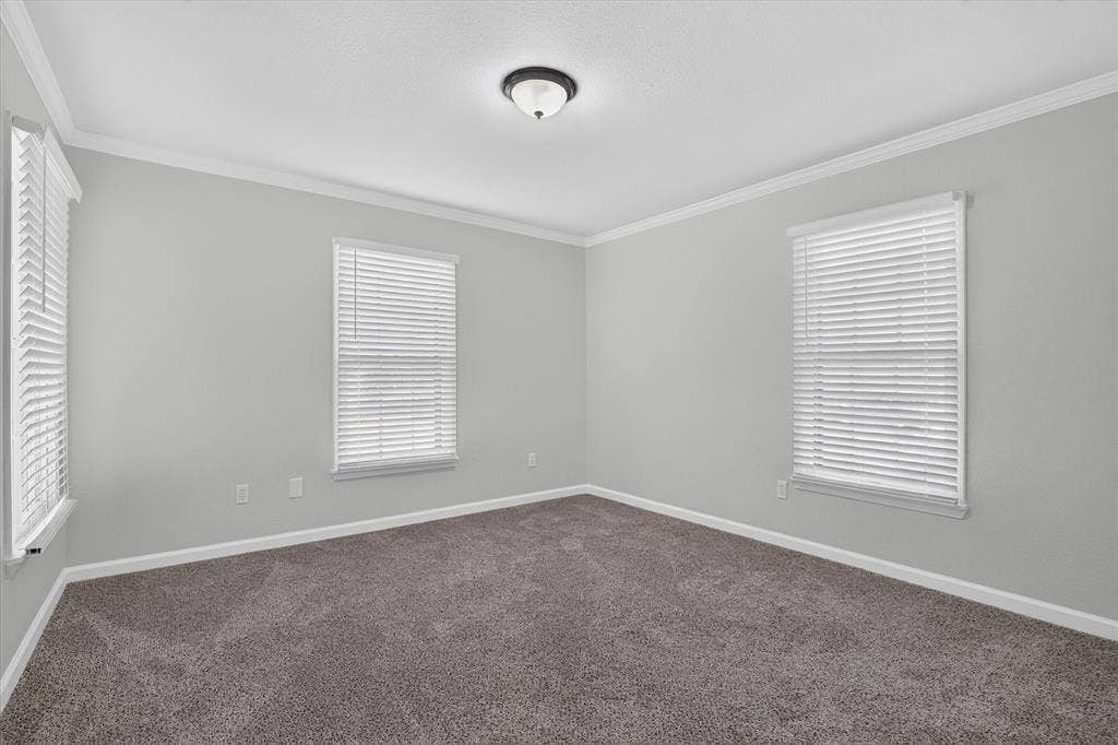 1204 Loma Alta Place, Cleburne, TX 76033 Carpeted room with multiple windows, crown molding, and a flush mount ceiling light