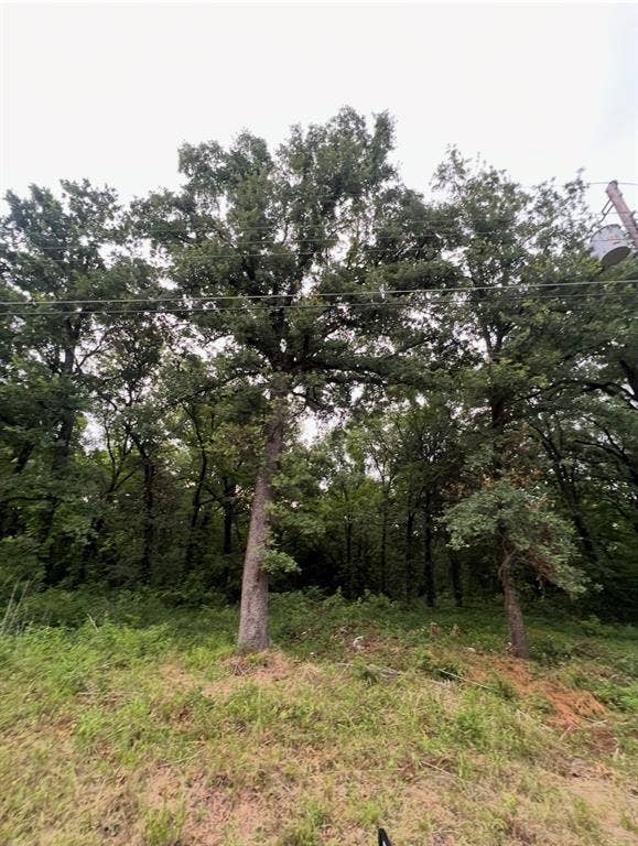 Property photo for 115 Inca Trail, Mabank, TX
