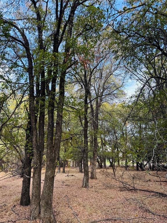 Property photo for 7103 Cedar Valley Drive, Whitney, TX