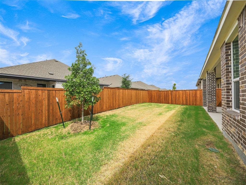 2517 Greenbelt Road, Celina, TX 75009 Expansive backyard featuring a manicured lawn, perimeter wood fencing, and a newly planted tree