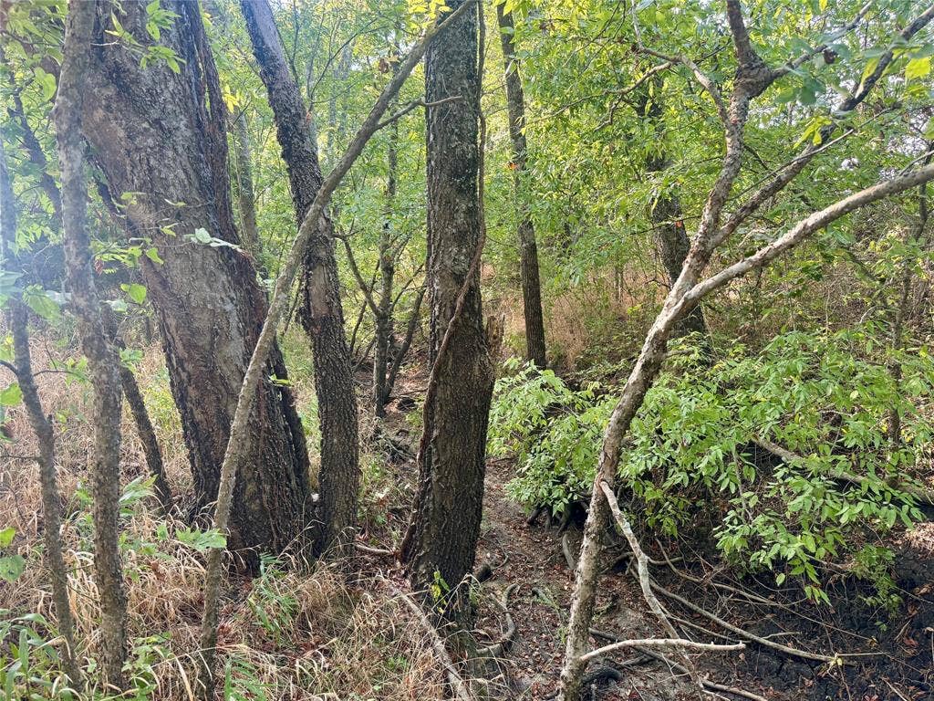 20132 County Road 818, Farmersville, TX 75442 Additional content