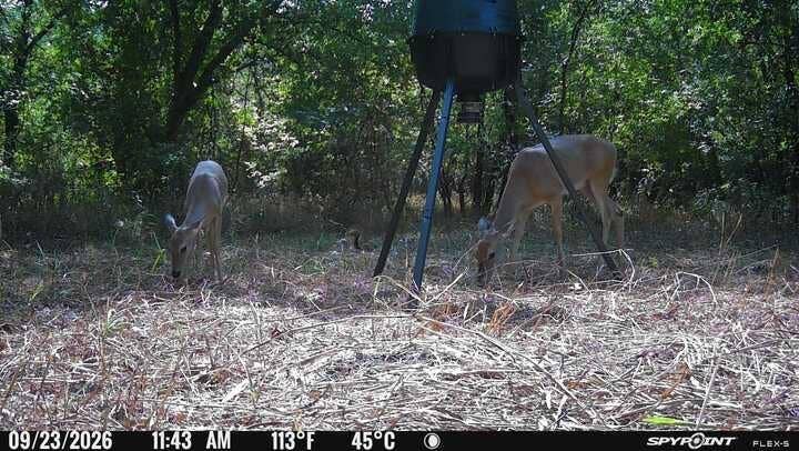 20132 County Road 818, Farmersville, TX 75442 Additional content