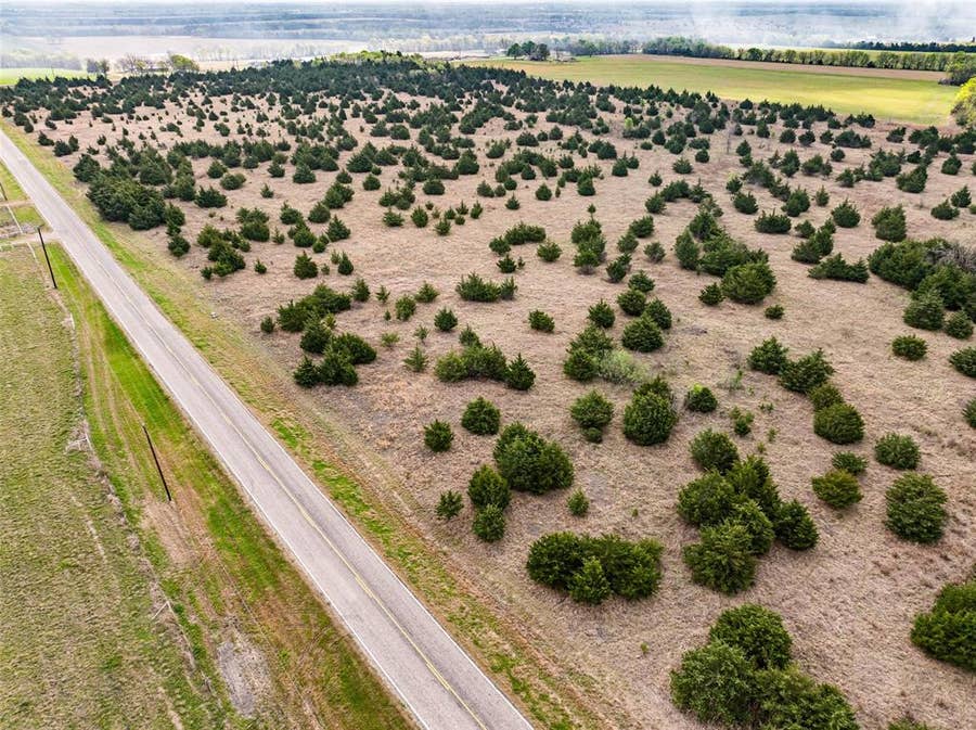 Property photo for TBD Lot 1 FM 128, Cooper, TX