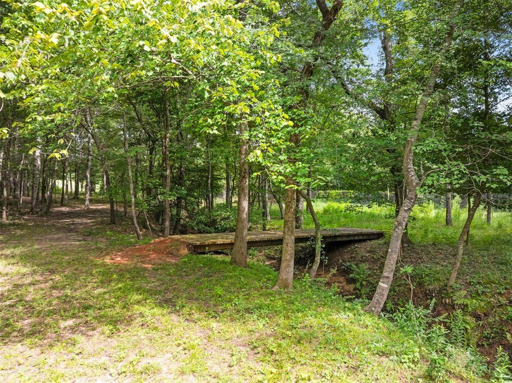 17379 County Road 318, Tyler, TX 75706 Creek at back of property