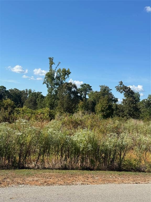 LOT 56 Ridgeline Loop, Winona, TX 75792