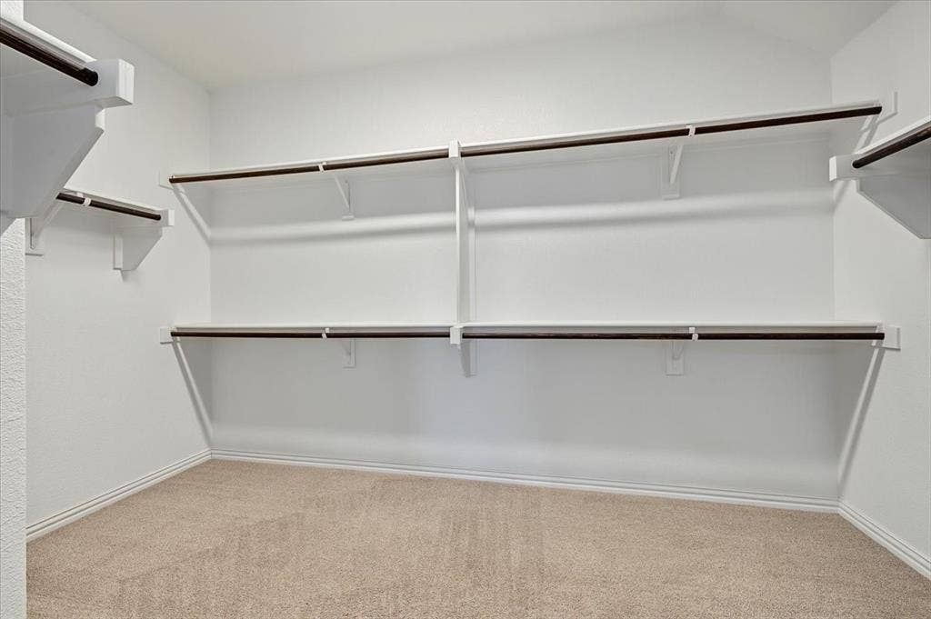 Walk-in closet with carpet flooring, white walls, built-in shelving, and clothes hanging rods