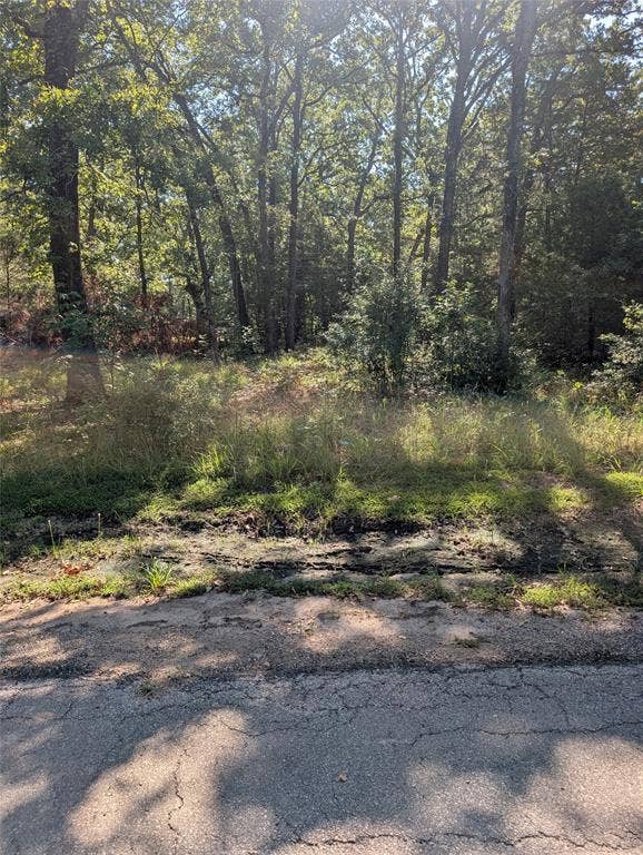 202 Chillacothe Trail, Mabank, TX 75156 202 Chillacothe Trail, Mabank, TX 75156