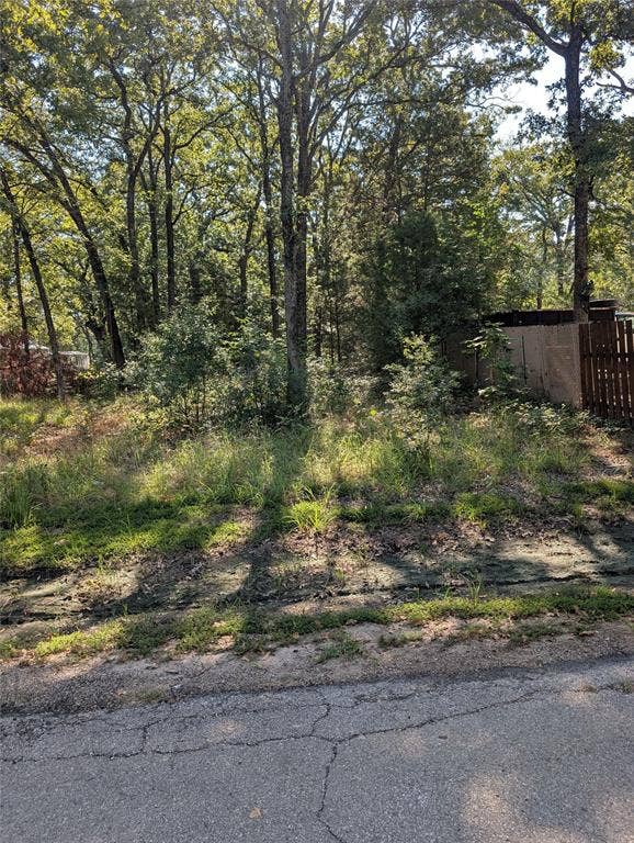 202 Chillacothe Trail, Mabank, TX 75156 202 Chillacothe Trail, Mabank, TX 75156