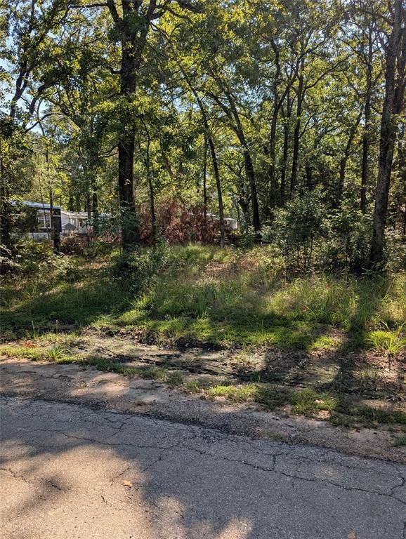 202 Chillacothe Trail, Mabank, TX 75156 202 Chillacothe Trail, Mabank, TX 75156