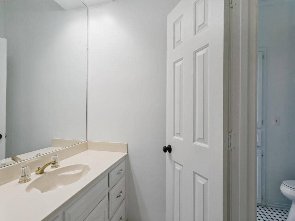 3309 Wolfe Court, Plano, TX 75025 Vanity with a light-toned countertop and an integrated sink, paneled cabinetry with hardware, and a large wall-mounted mirror