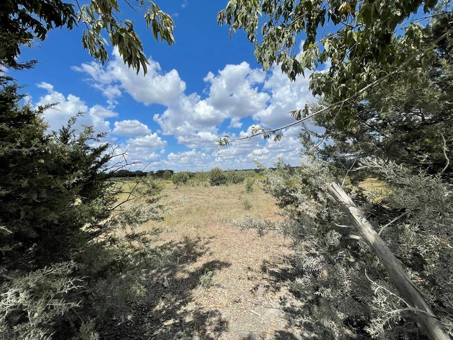 Property photo for 2473 CR 199B, Iredell, TX