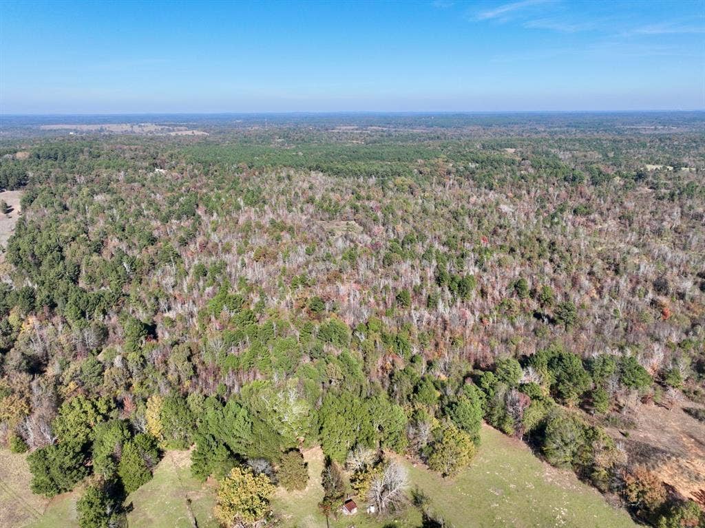 21695 County Road 240, Tyler, TX 75705 21695 County Road 240, Tyler, TX 75705