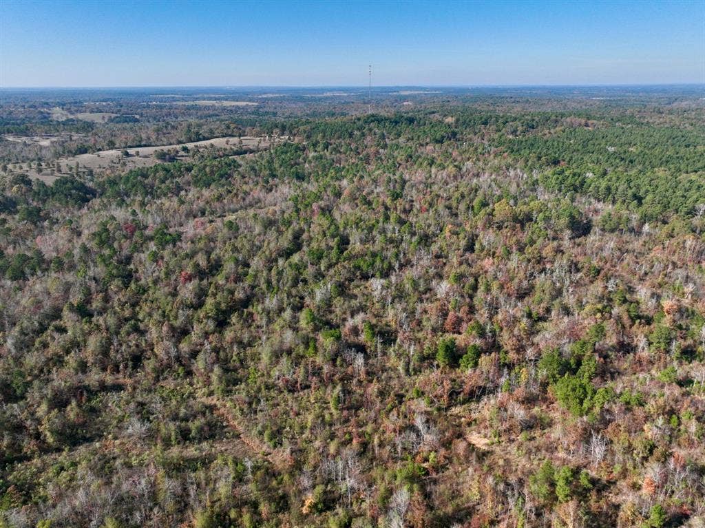 21695 County Road 240, Tyler, TX 75705 21695 County Road 240, Tyler, TX 75705
