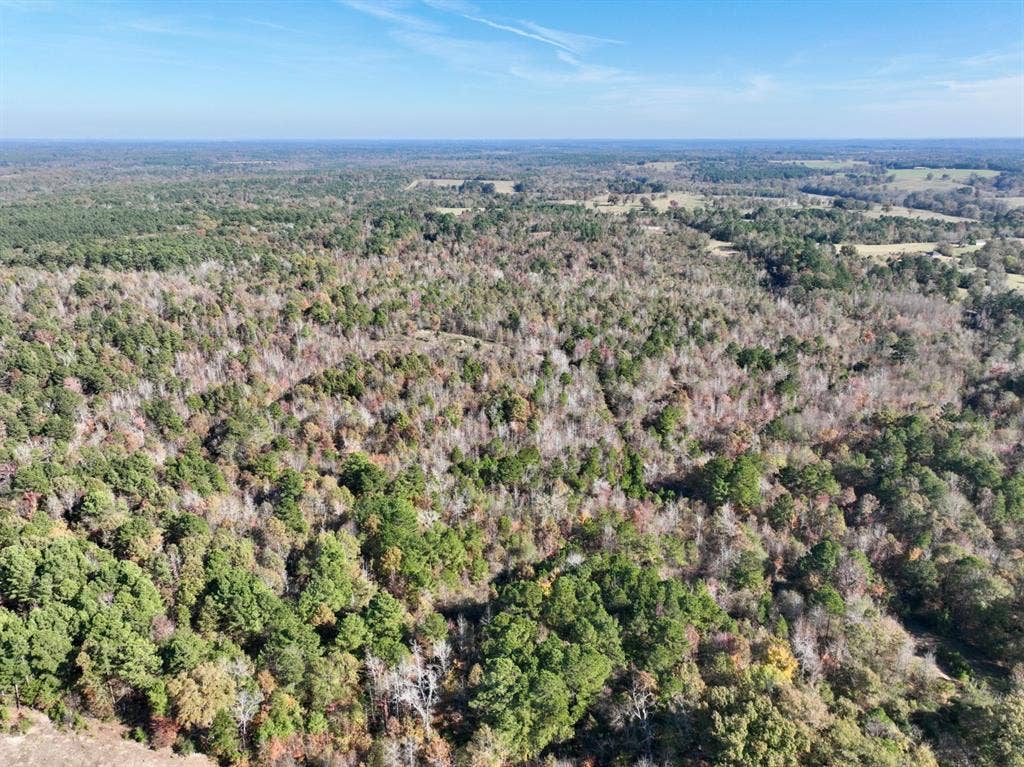21695 County Road 240, Tyler, TX 75705 21695 County Road 240, Tyler, TX 75705