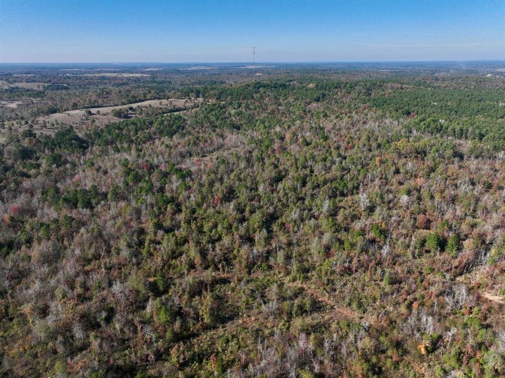 21695 County Road 240, Tyler, TX 75705 21695 County Road 240, Tyler, TX 75705