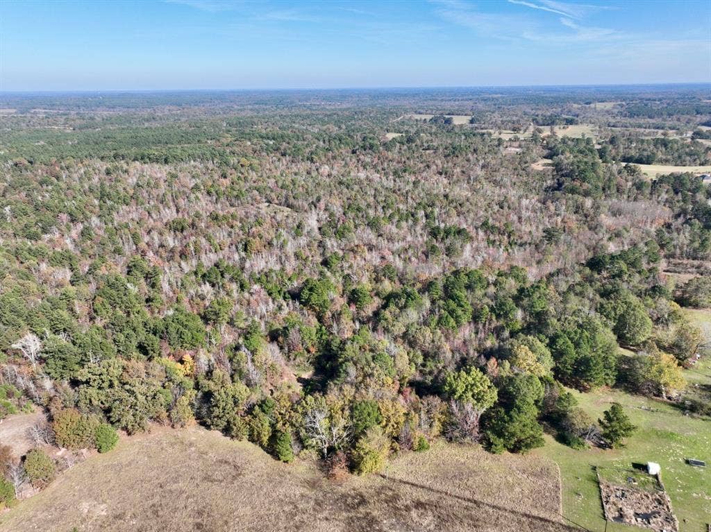 21695 County Road 240, Tyler, TX 75705 21695 County Road 240, Tyler, TX 75705