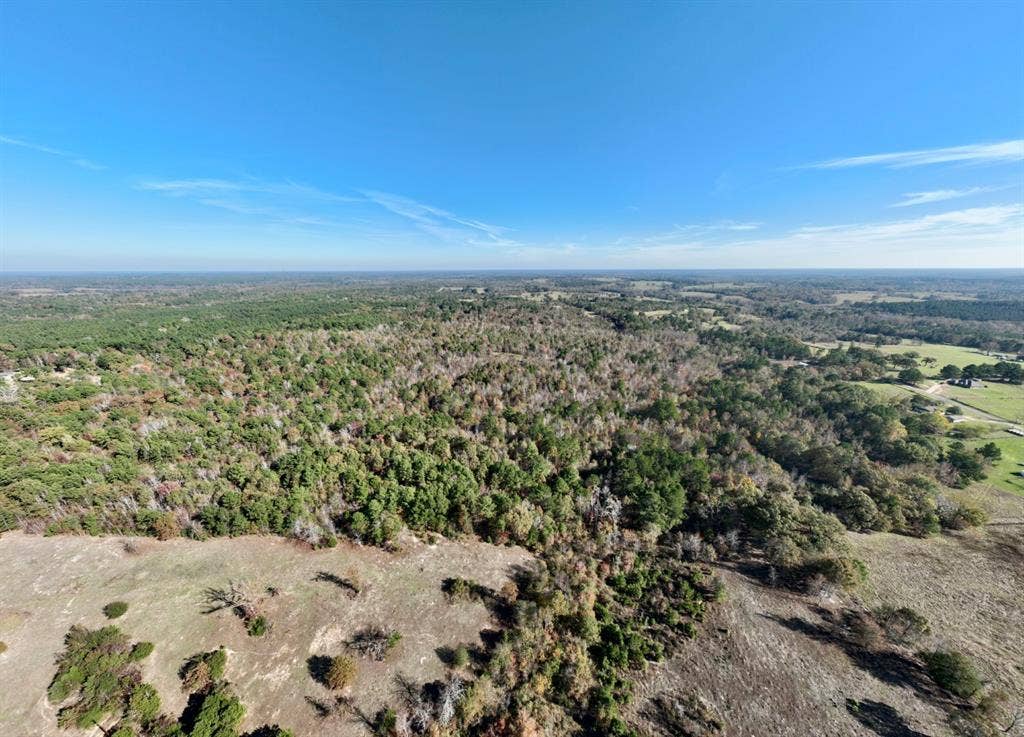 21695 County Road 240, Tyler, TX 75705 21695 County Road 240, Tyler, TX 75705