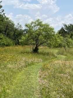 4708 Pioneer Road, Balch Springs, TX 75180