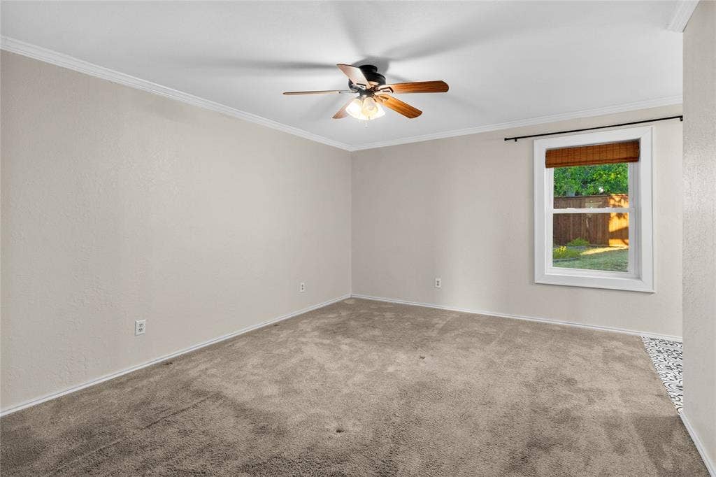 Carpeted room featuring a ceiling fan with light fixture, crown molding, and a window with wood blinds