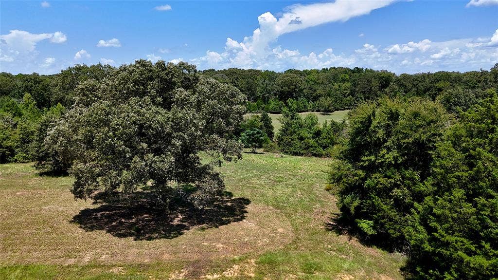 TBD Lee Drive, Murchison, TX 75778 TBD Lee Drive, Murchison, TX 75778
