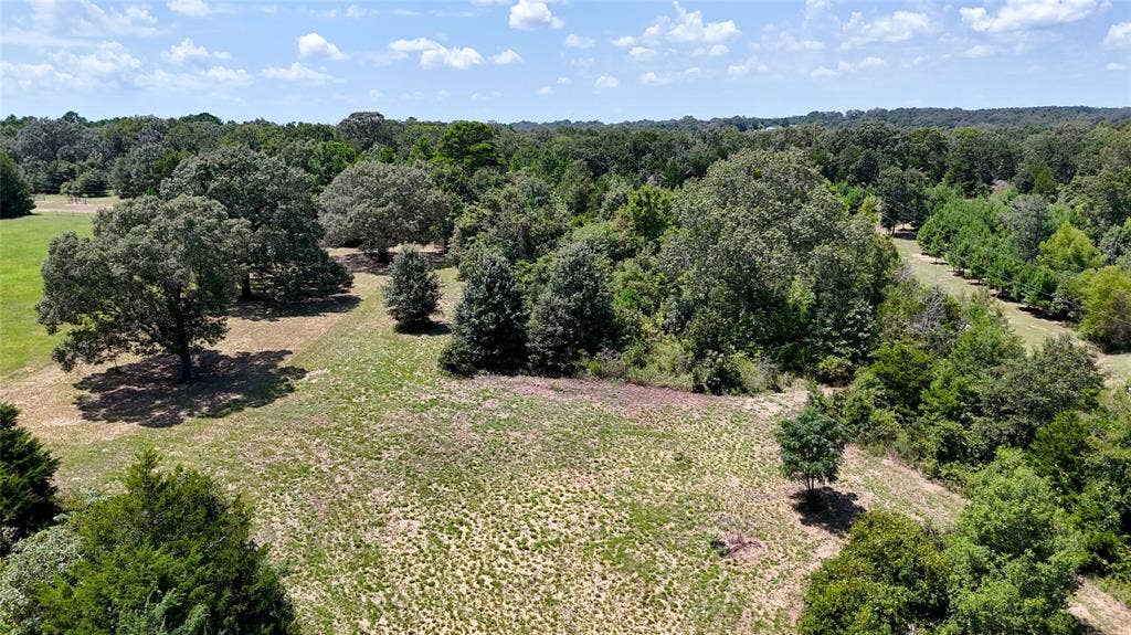 TBD Lee Drive, Murchison, TX 75778 TBD Lee Drive, Murchison, TX 75778