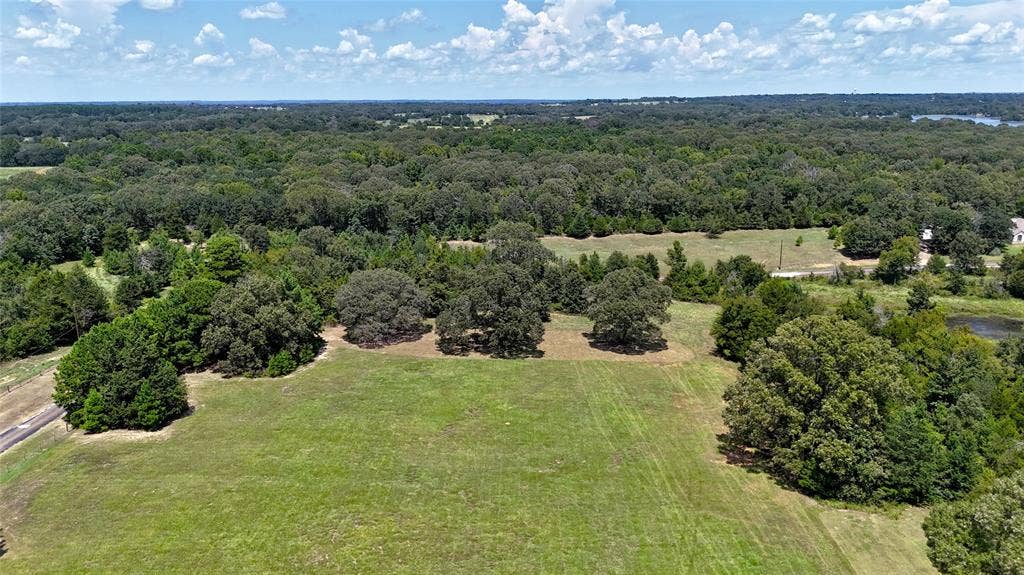 TBD Lee Drive, Murchison, TX 75778 TBD Lee Drive, Murchison, TX 75778