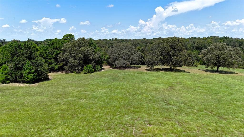 TBD Lee Drive, Murchison, TX 75778 TBD Lee Drive, Murchison, TX 75778
