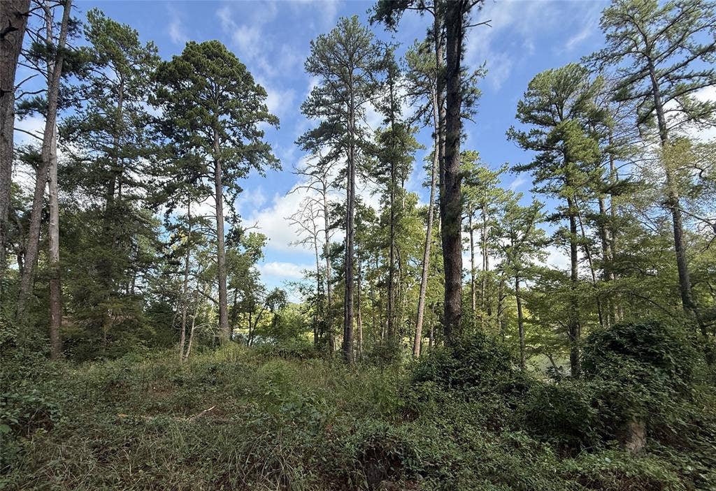 13254 County Road 468, Tyler, TX 75704 13254 County Road 468, Tyler, TX 75704