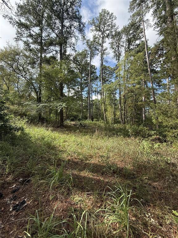13254 County Road 468, Tyler, TX 75704 13254 County Road 468, Tyler, TX 75704