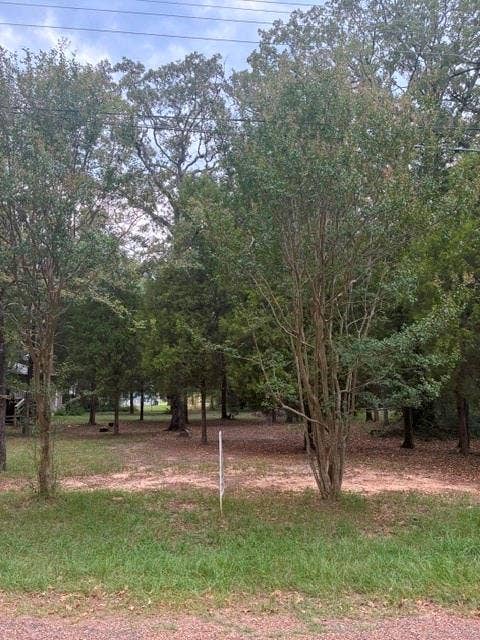 000 Jim Bowie Lane, Log Cabin, TX 75148 000 Jim Bowie Lane, Log Cabin, TX 75148