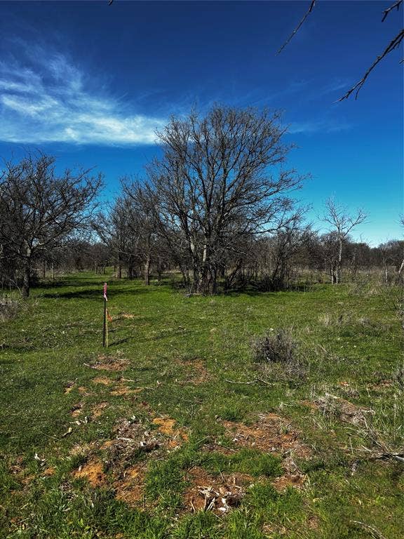 Property photo for 382 High Plains Court, Bellevue, TX