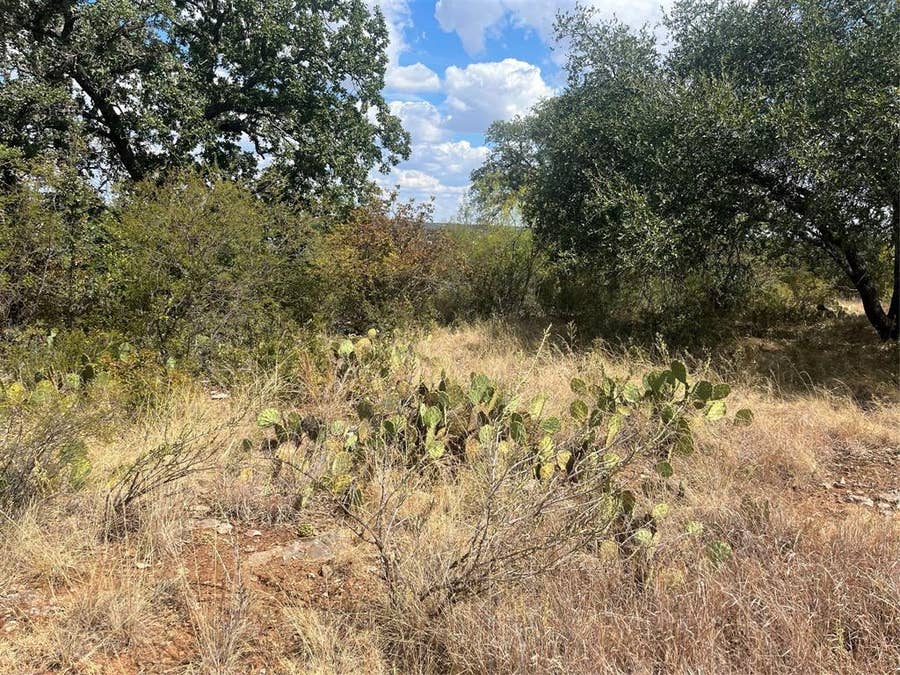 Property photo for TBD Fm 2632 N, Brownwood, TX