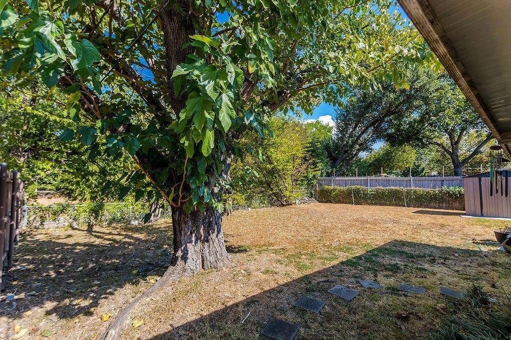 2914 Harvard Street N, Irving, TX 75062 Spacious backyard featuring a substantial mature tree, partial fencing, and a covered patio area