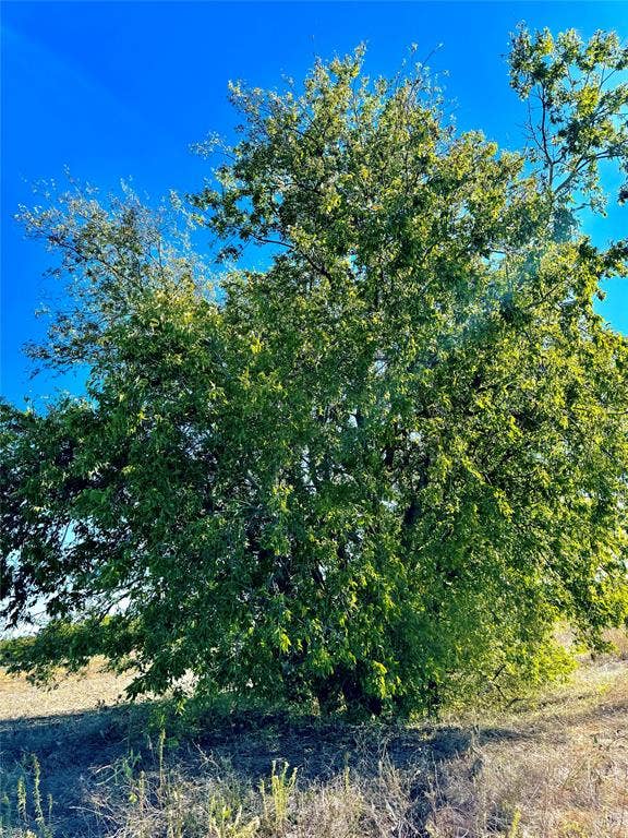 Lot 10 COUNTY ROAD 590, Nevada, TX 75173 Lot 10 COUNTY ROAD 590, Nevada, TX 75173