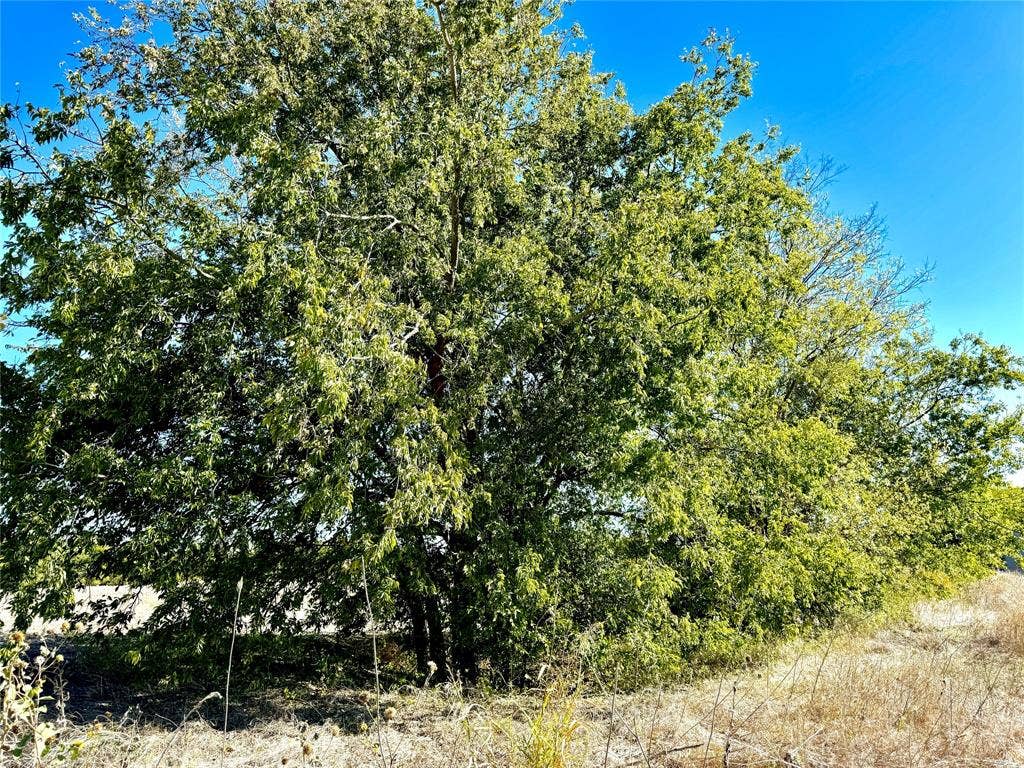 Lot 10 COUNTY ROAD 590, Nevada, TX 75173 Lot 10 COUNTY ROAD 590, Nevada, TX 75173