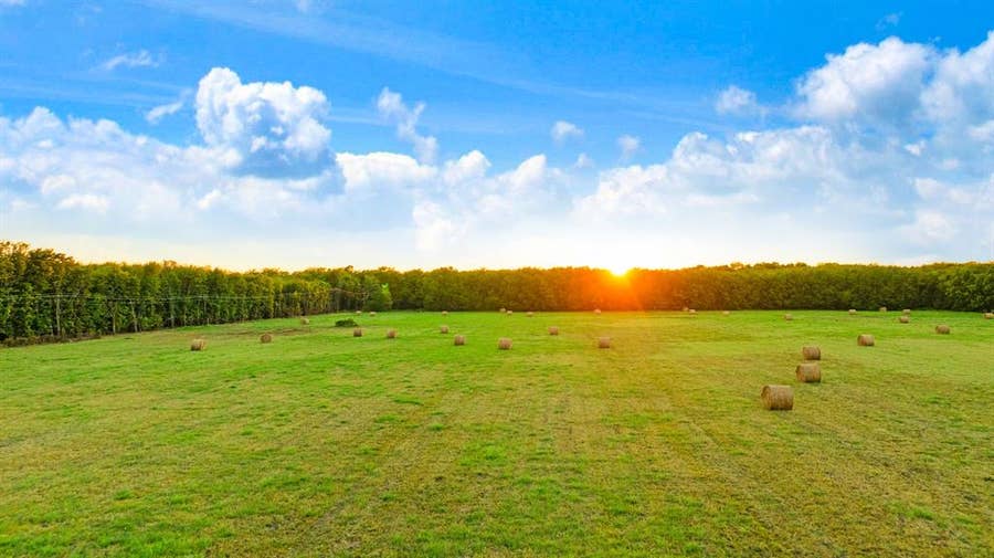 Property photo for TBD FM 905, Paris, TX
