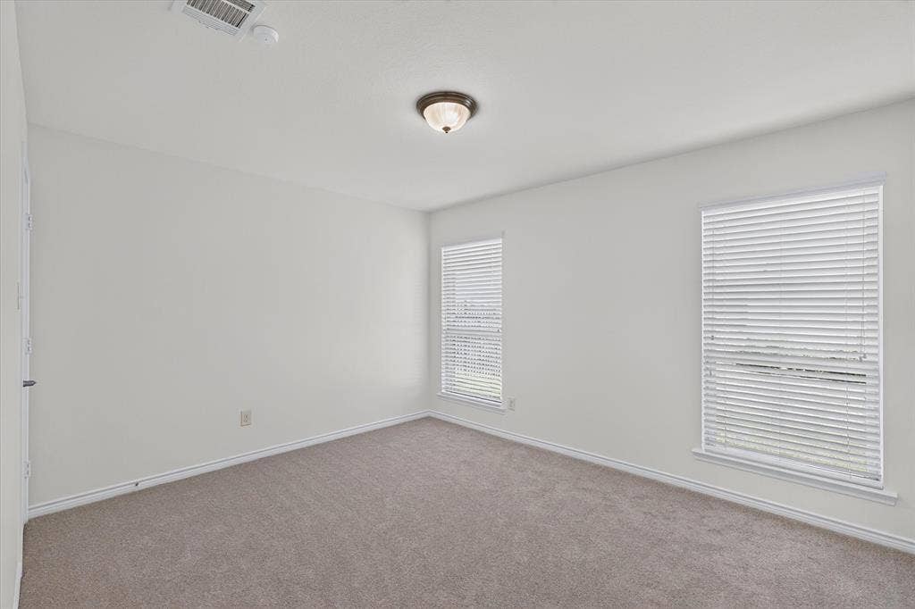 Neutral wall paint, carpeted flooring, two windows with blinds, and a ceiling-mounted light fixture