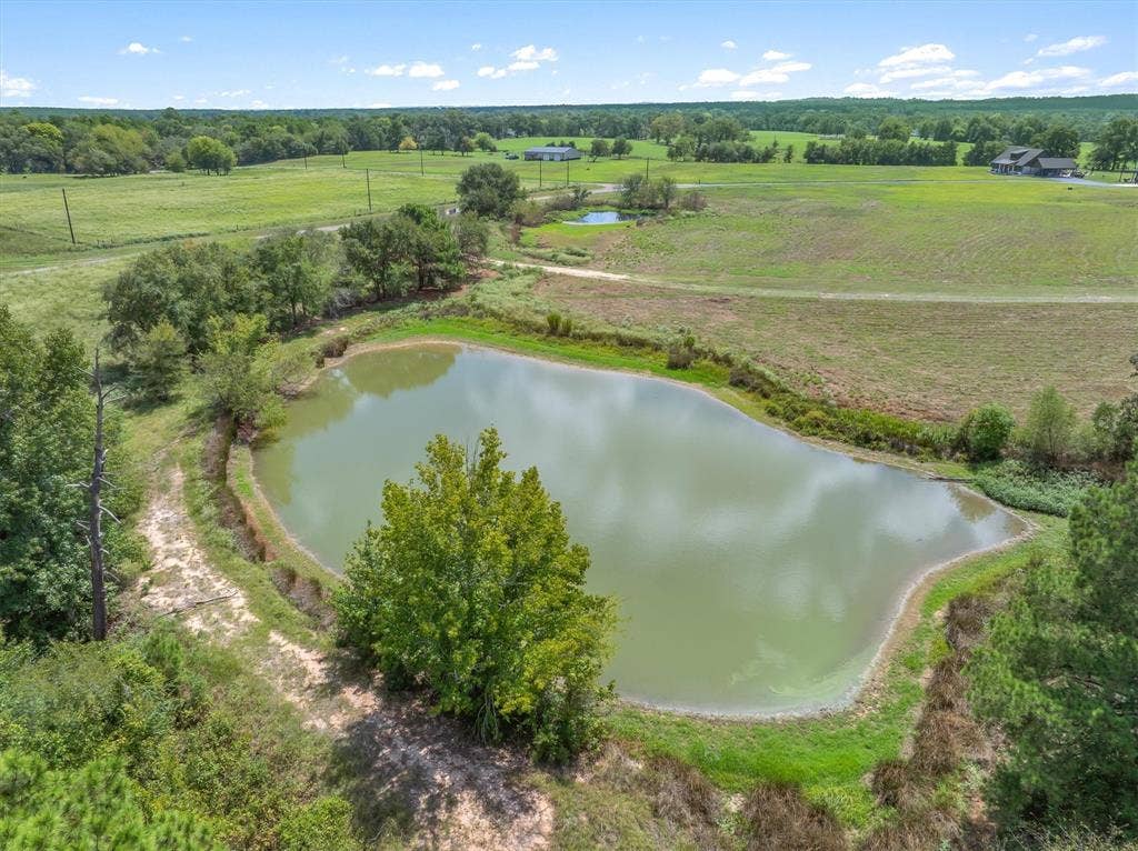 24619 Private Road 8102, Frankston, TX 75763 Expansive land featuring a large pond and mature trees, surrounded by open fields