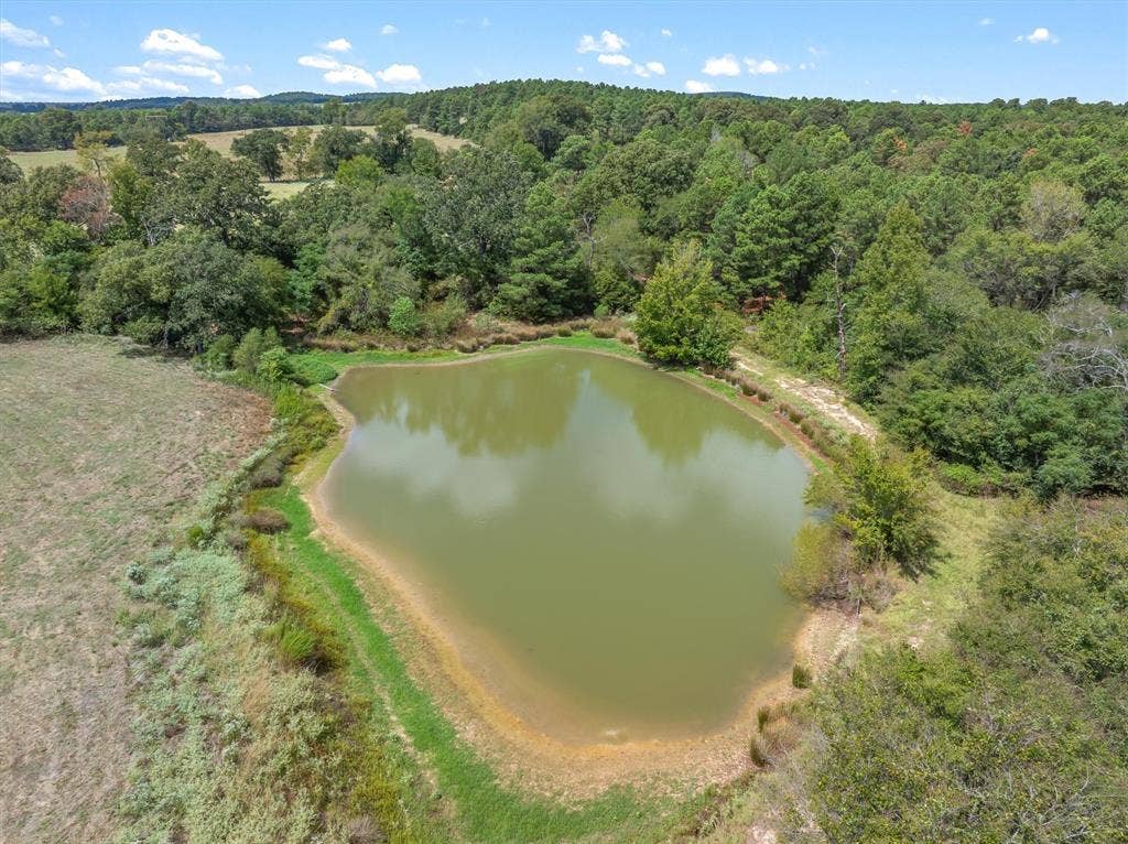 24619 Private Road 8102, Frankston, TX 75763 Private pond with natural landscaping and surrounding mature trees