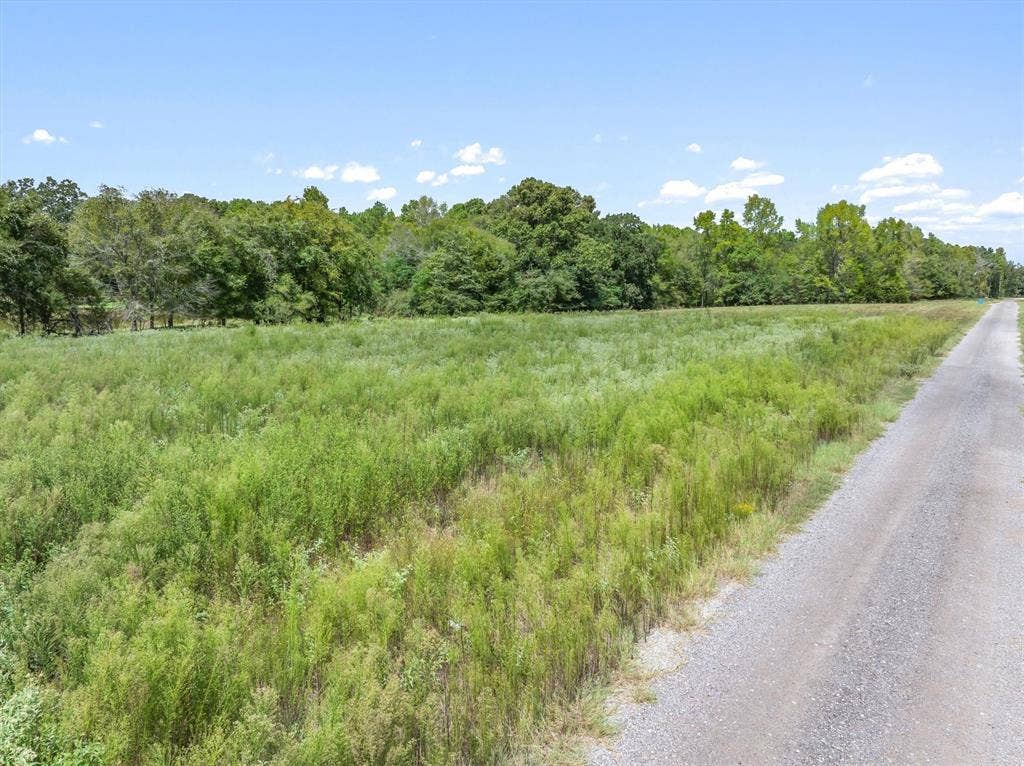24619 Private Road 8102, Frankston, TX 75763 Extensive open land with a gravel road and abundant mature trees lining the perimeter