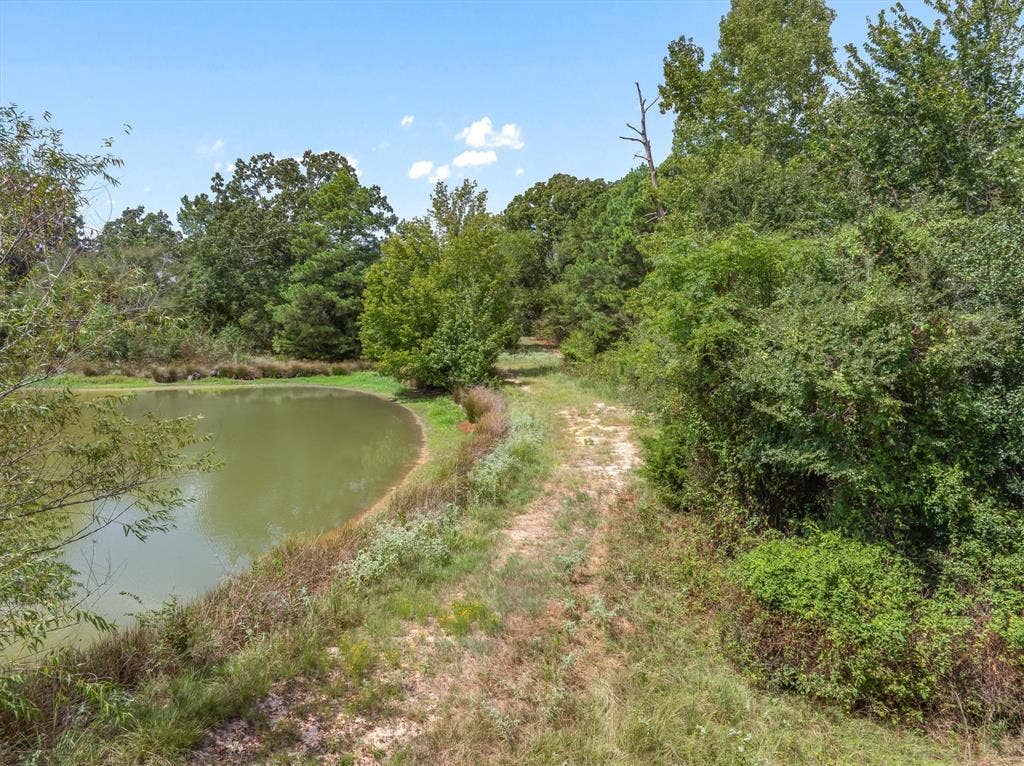 24619 Private Road 8102, Frankston, TX 75763 Private pond with a natural embankment, surrounded by dense foliage and mature trees