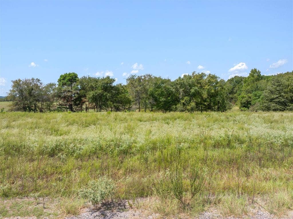 24619 Private Road 8102, Frankston, TX 75763 Expansive open field with natural vegetation and distant tree lines