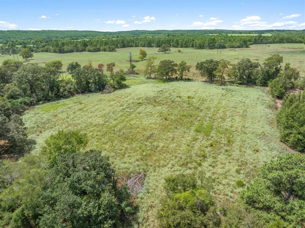 24619 Private Road 8102, Frankston, TX 75763 Expansive open field surrounded by mature trees, featuring a clear sky overhead