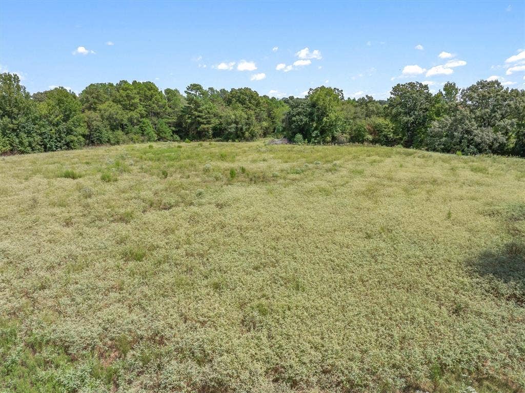 24619 Private Road 8102, Frankston, TX 75763 Expansive open field with natural ground cover, bordered by a dense tree line