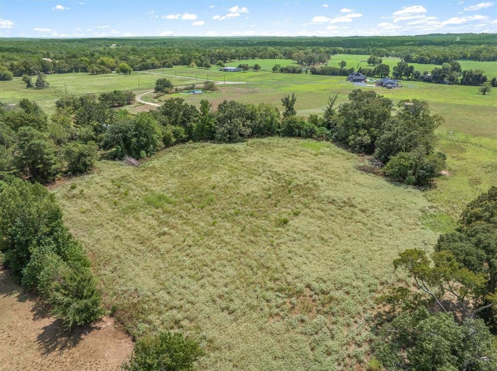 24619 Private Road 8102, Frankston, TX 75763 Expansive open field surrounded by mature trees, featuring a clear sky overhead